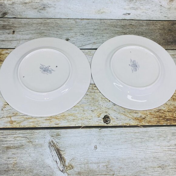 American Manor China CHANTILLY Cream Flowers Platinum Salad Lunch Plates Set 7 - Picture 5 of 16